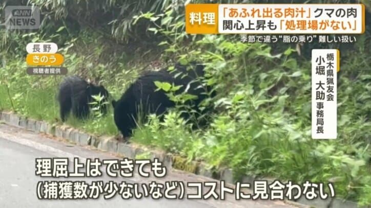 「コストに見合わない」
