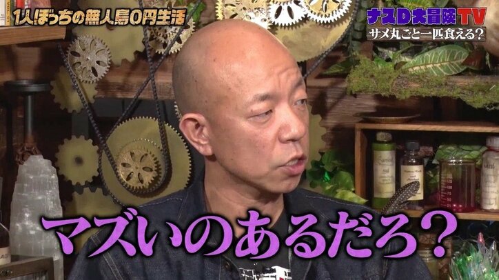 ナスD、サメ料理「フルコース10品」が完成! わさび醤油を使った“ステーキ”まで…「バリエーションを増やそう」