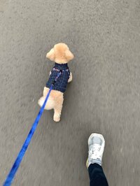 矢田亜希子『ハンドケア』