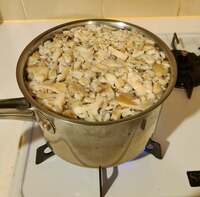 モト冬樹『健康の秘訣?』