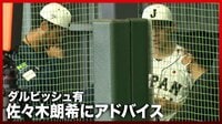 【映像】佐々木朗希に直接アドバイスするダルビッシュ有