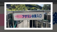 アザラシ体験で「腰抜かした」過酷な暮らし