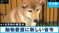 飼育頭数に制限!? 動物愛護の新省令
