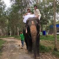 アレクサンダー『また行きタイ』