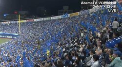 元横浜・齊藤明雄氏、ハマスタの思い出紹介　虎柄の猫は阪神戦しか出てこない