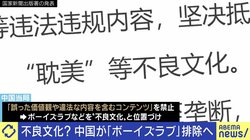 中国「ボーイズラブ」を“不良文化”と警告 排除から見える思想の規制