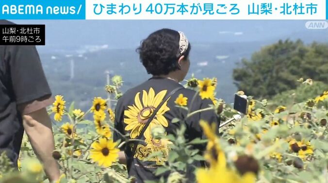 山梨・北杜市