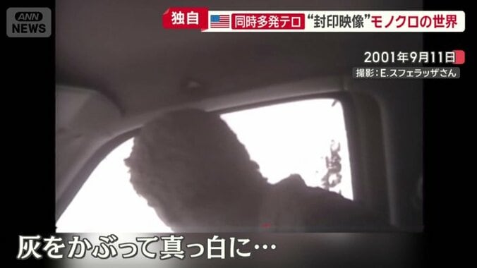 灰をかぶっていて全身真っ白に