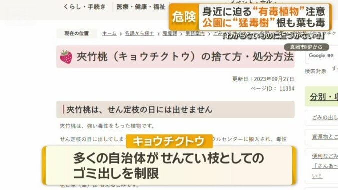 枝などから出る汁にも毒性がある