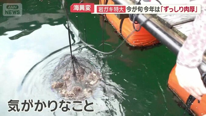 気がかりなことも