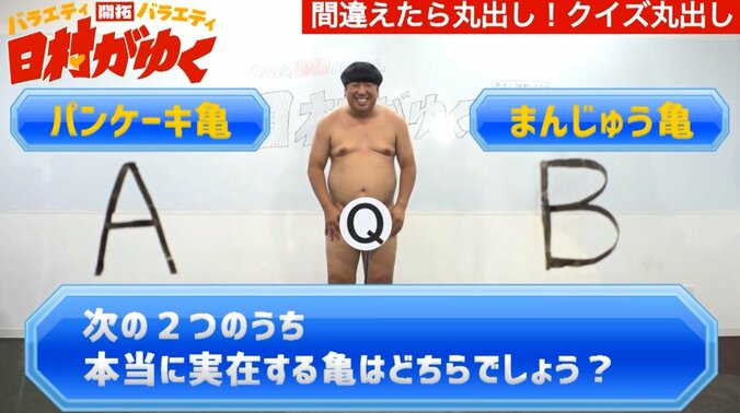 バナナマン日村、“間違えたら丸出し”になる「クイズ丸出し」など裸芸に挑戦 10枚目