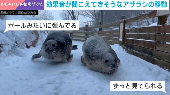 笑子ちゃんとみなとくん