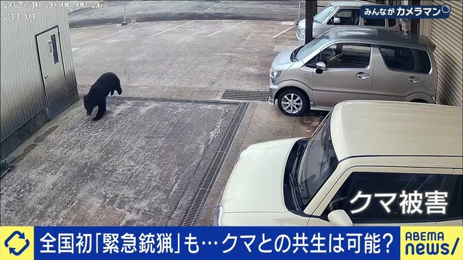 住宅地のど真ん中をクマが走り回る