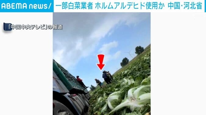 業者