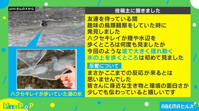 pittiさんを取材