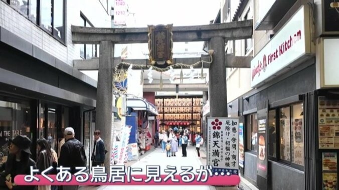 よくある鳥居に見えるが…