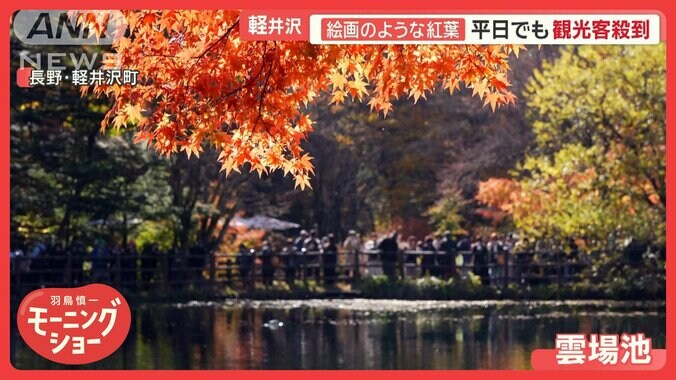 軽井沢の絶景“絵画のような紅葉”　観光客で大混雑…地元住民「家まで10分が1時間」 1枚目