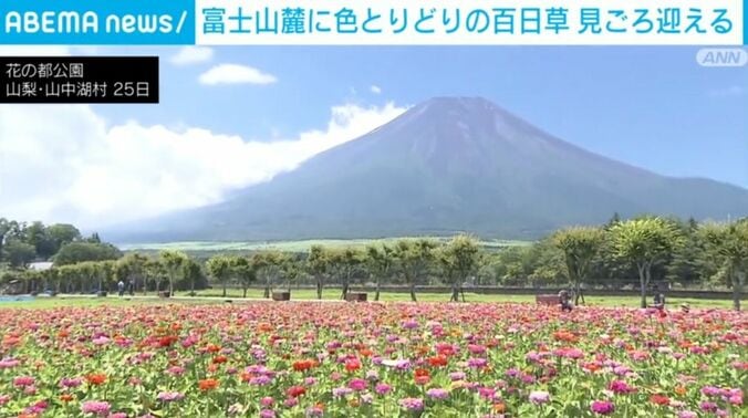 花の都公園