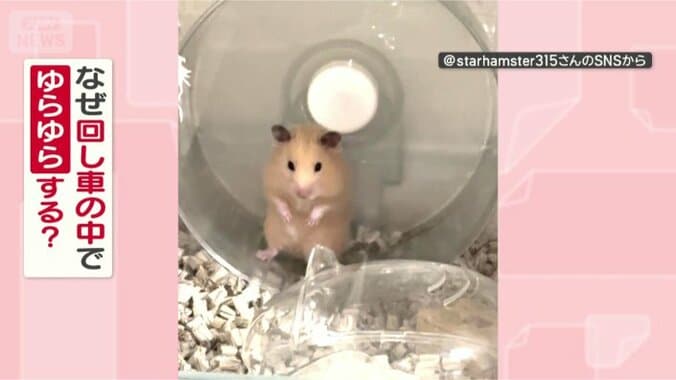 ゆらゆらするのはなぜ？