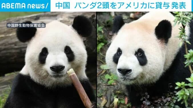 フーシュアン／ピンピン