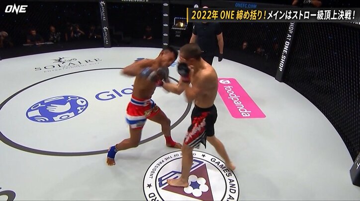 「効いてねぇよ」猛アピールも足元“グラグラ”の衝撃TKO 無慈悲な“追い蹴り”に戦慄