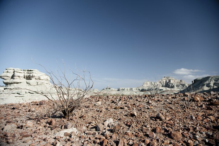 アメリカ=メキシコ間の国境問題を描く衝撃作『ノー・エスケープ 自由への国境』　過酷なロケ地写真を公開