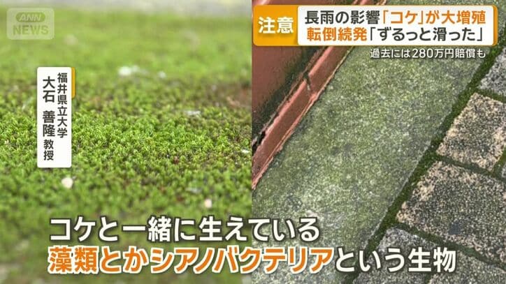 「粘性のある膜を作り滑りやすい原因」