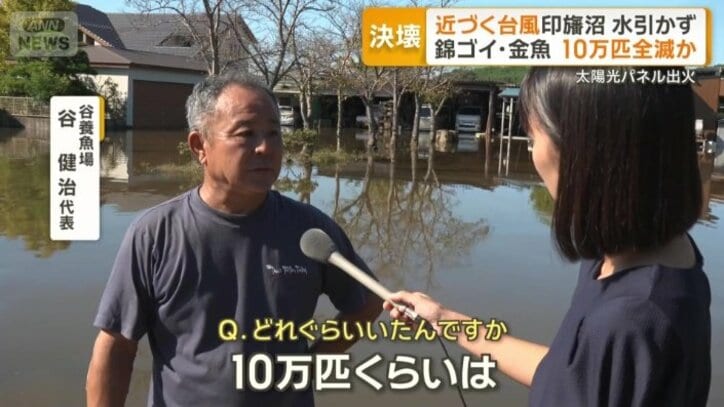 「ほぼ全滅」