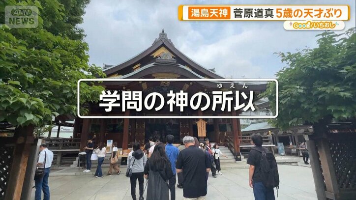 湯島天神は学問だけじゃない 1600年の歴史と勝負運、梅の伝説に迫る