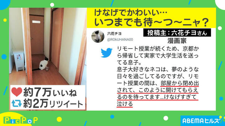 リモート授業で追い出された猫、ドアの前で待つ姿が健気すぎる…投稿主を取材