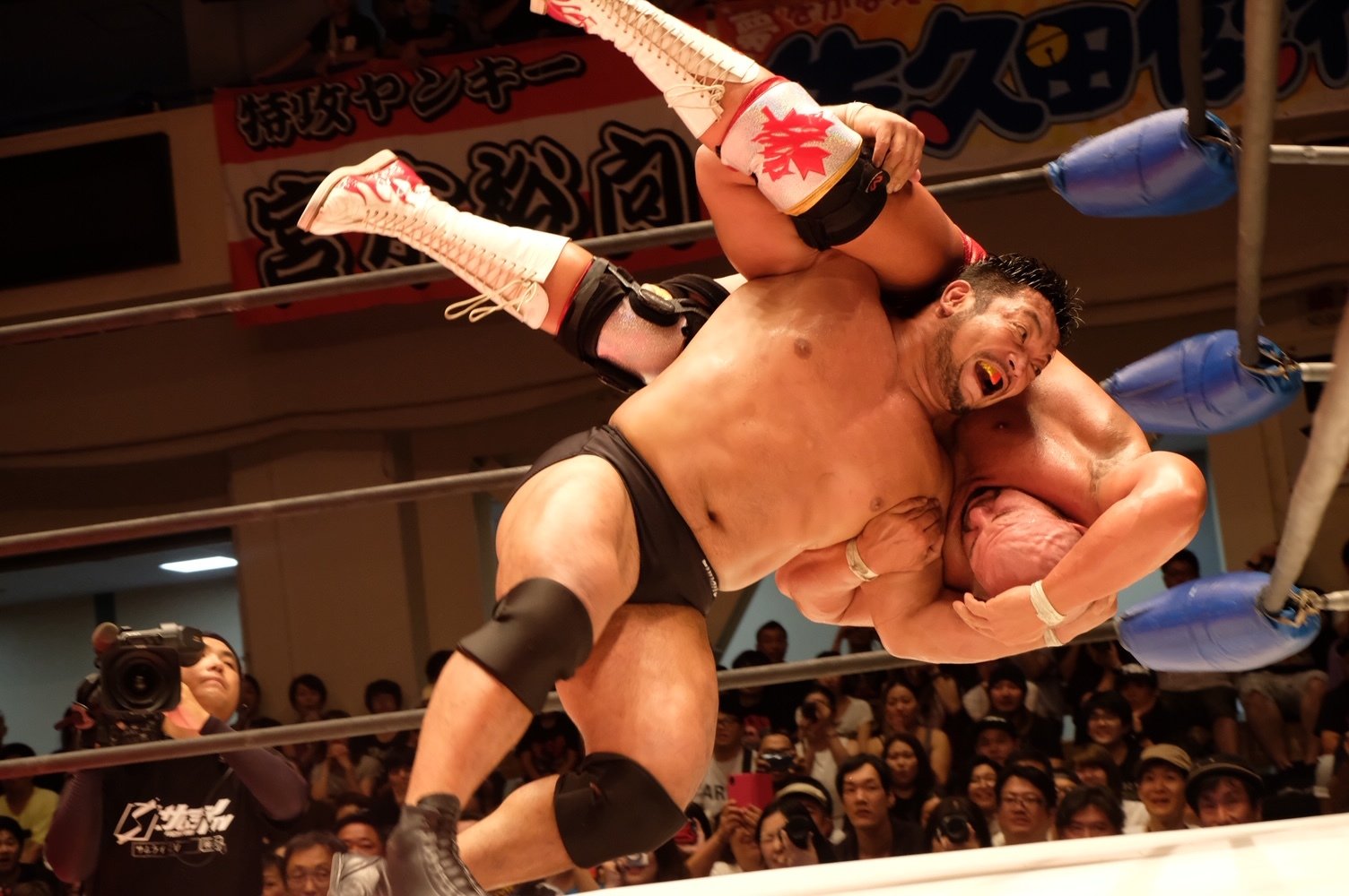 関本vsエルガンの熱から両国へ 大日本プロレスが迎える ビッグマッチの秋 ニュース Abema Times