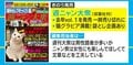 スーパーボランティア尾畠さん、猫にとんかつ盗られ“スクープ記事”に！　『週ニャン大衆』が話題