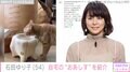 石田ゆり子、自宅リビングにペットたちのため作った“おあしす”披露「お部屋に馴染んでいますね」と反響