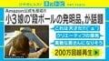 段ボール工作の天才兄妹に絶賛の声集まる「これは天才」「クリエーティブの爆発」