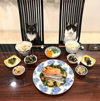 藤あや子『昨日の晩ごはん』