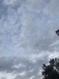 堀ちえみ『本日「徹子の部屋」放送日です』