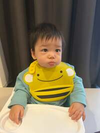 だいたひかる『どうにも気になる!』