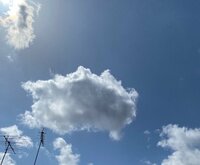 笠井信輔『今日、非常事態宣言解除へ』