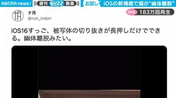 猫が幽体離脱!? 可愛いが簡単に増やせるiOS16の新機能に「切り抜きアプリいらない」「ザ・たっちごっこできるじゃん」の声