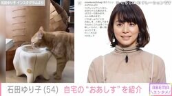 石田ゆり子、自宅リビングにペットたちのため作った“おあしす”披露「お部屋に馴染んでいますね」と反響