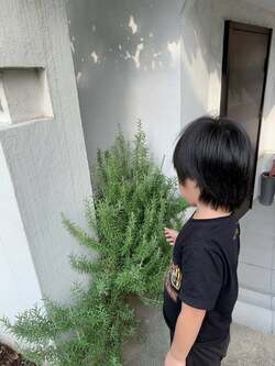  川崎希、母親が電話に出ず心配で家へ「出てきたみたい」 