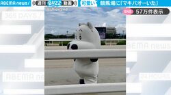 本物の競馬場に“人気の馬キャラ”が出現！ 二足歩行でゆっさゆっさと歩く“マキバオー”に反響「二足歩行でも違和感ない」「この時代で見れるとはｗ」