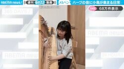 アイリッシュハープの美しい音色に集まる“小鳥たちの様子”が、SNSで話題！「トリを呼び寄せる女神様みたい」「鳥さん達も嬉しそう」