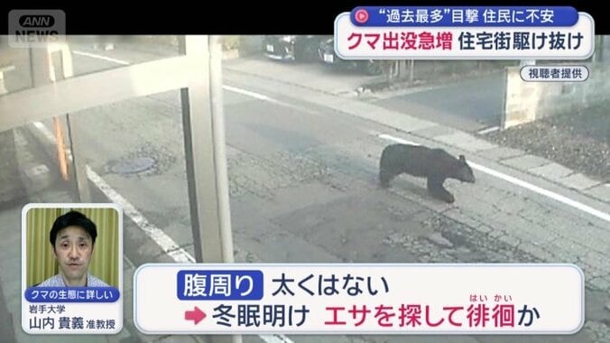 冬眠明けで、餌を探して徘徊か