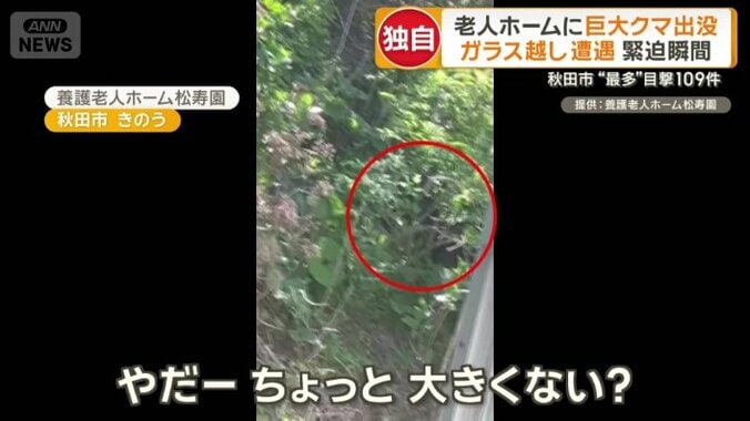 クマは施設の裏側へ