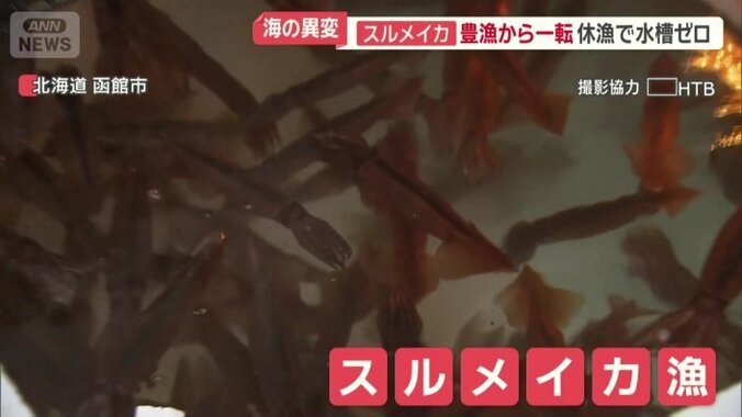 北海道のスルメイカ漁