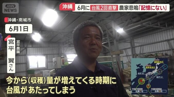 宮平農園　宮平翼さん
