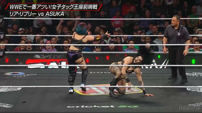 ふらふらとレフェリーに近づき