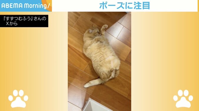 ご飯の催促をするすずくん