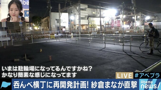 高架化と高層ビル建設でイメージ一変？再開発に搖れる”のんべえの聖地”立石の今 8枚目